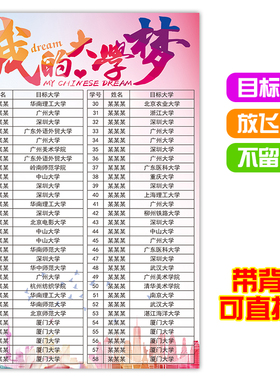 定制目标计划表 贴墙 中/高中学生奋斗目标表 梦想飞扬  进步格言