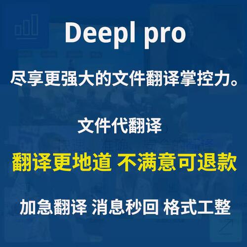 Deepl pro会员PDF英文翻译文档代翻译文献pdf翻译word文件翻译