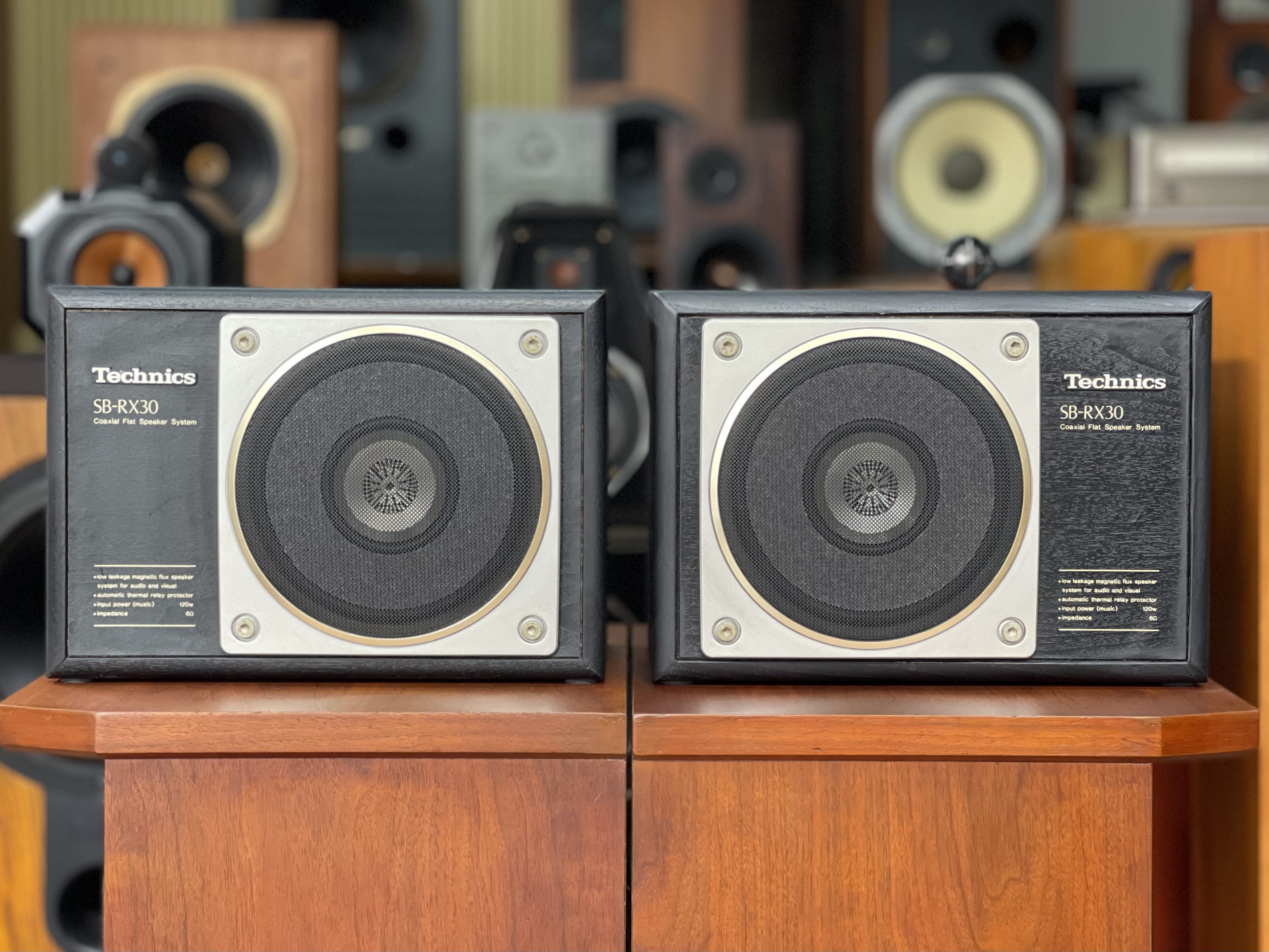 日本Technics/乐声/松下 SB-RX30 经典发烧高端同轴全频音箱