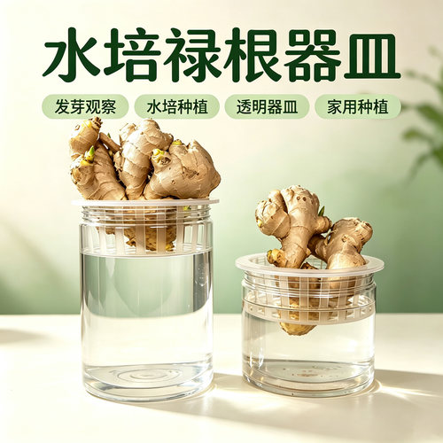 水培禄根专用透明塑料桌面花瓶
