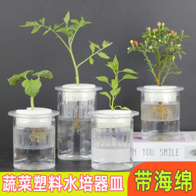 水培蔬菜器皿定植篮加定植棉透明瓶子海绵水培辣椒番茄西红柿花盆