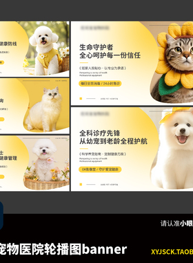 5张宠物医院轮播图宠物健康体检宠物驱虫banner海报PSD模版源文件