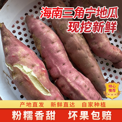 海南白心地瓜沙地种植现挖现发