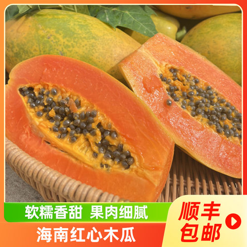 海南树上熟红心牛奶木瓜