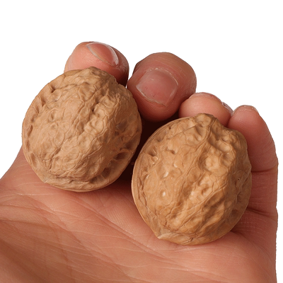 文玩核桃金蝉铁蛤蟆头随身狮子头