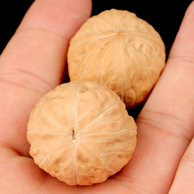 极速文玩核桃小手捻核桃散籽随身把件小I秋子核桃天然野生手串手