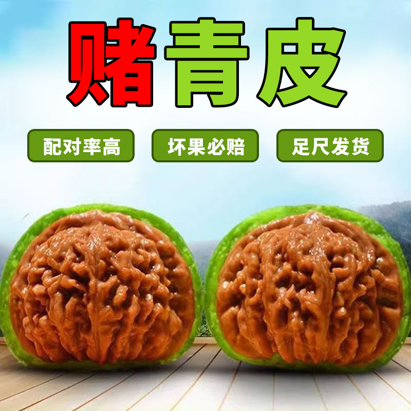 赌青皮核桃天然野生核桃四座楼狮子头盘玩手把件核桃文玩青皮手玩