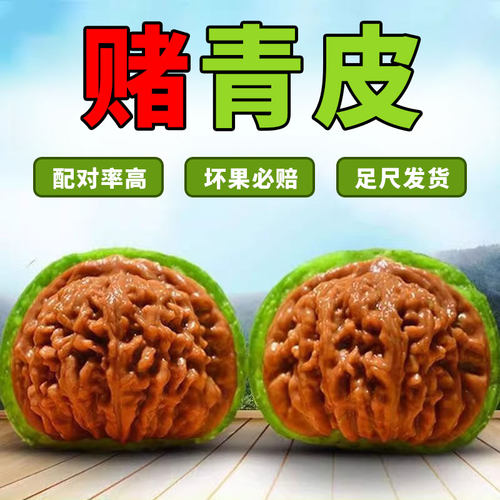 赌青皮核桃天然野生核桃