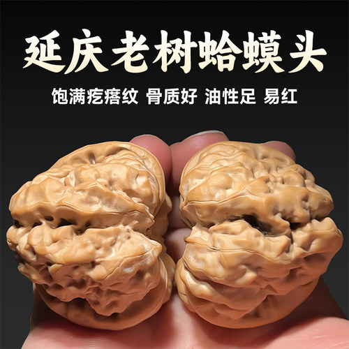 一代老树延庆蛤蟆头文玩核桃金蟾狮子头闷尖有腿有眼开背呱呱收藏