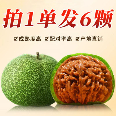 青皮文玩核桃四座楼狮子头天然野生盘山王勇麒麟纹官帽盘玩手把件