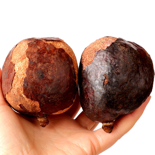 佛心果吊坠原籽金包玉手把件老果释迦菩提佛心菩提大尺彩色金镶玉