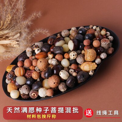 打孔十八籽菩提子散珠金刚凤眼龙眼木鱼果千眼菩提根手串念珠DIY