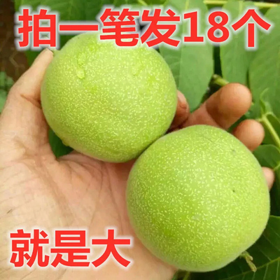 文玩核桃赌青皮麒麟纹闷尖白狮子