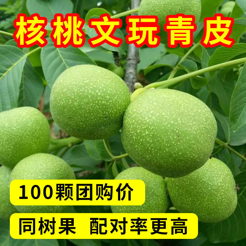 文玩核桃青皮核桃四座楼狮子头麒麟纹男开果盘玩手把件大官帽青果