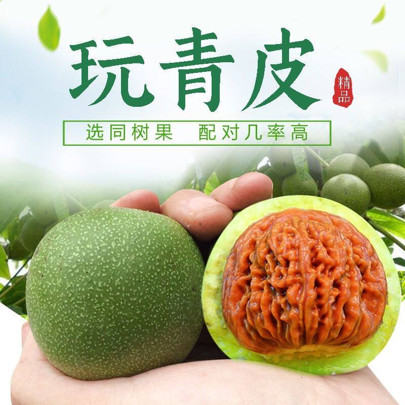 文玩核桃盘山公子帽爱出三棱的品种带青皮狮子头四座楼赌大尺寸
