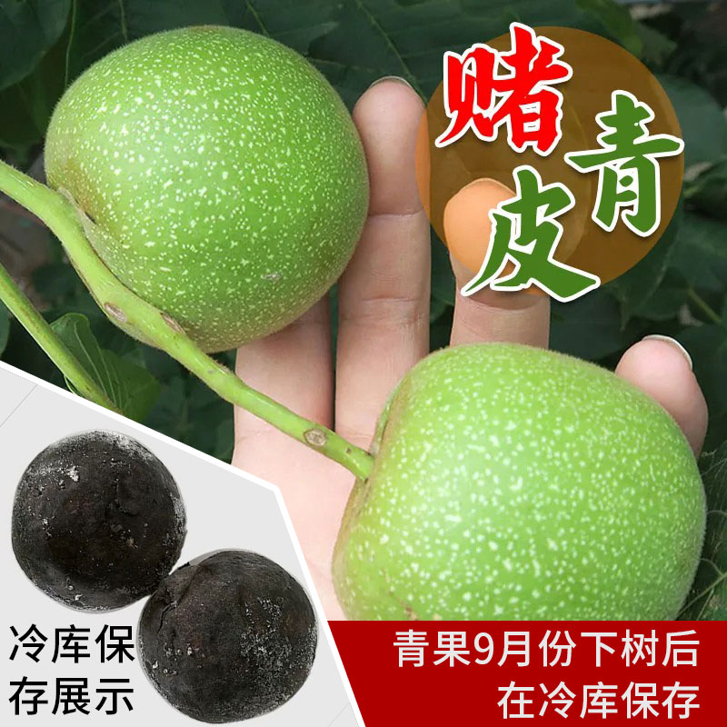 青皮蛤蟆头文玩核桃四座楼白狮子头磨盘宫灯苹果园盘玩手把件官帽