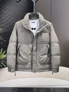 冬季 休闲保暖加厚痞帅时尚 立领免洗羽绒服外套男款 修身 潮 韩版 男士