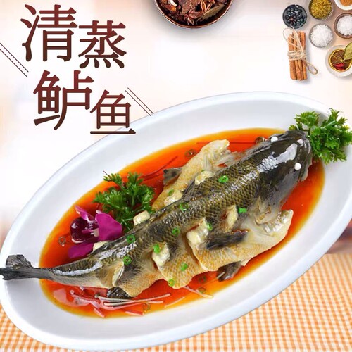 鱼模型道具仿真鱼假菜仿真菜道具
