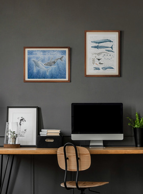 daparo鲸鱼装饰画手绘水彩家居软装氛围感美式简约复制画微喷海洋