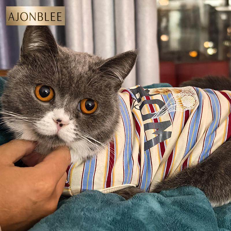 猫咪衣服秋装大猫圆领套头条纹衫布偶猫银渐层外出保暖防掉毛睡衣,宠物/宠物食品及用品,猫宠物服装/雨衣（新）,淘宝优惠券,粉丝福利购,淘宝优惠卷