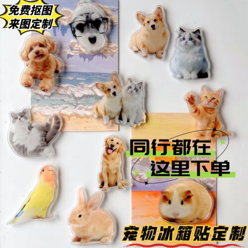 宠物照片冰箱贴定制可爱纪念DIY