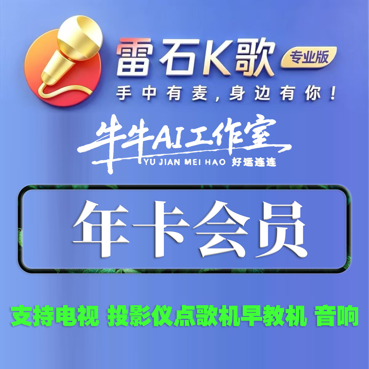 雷石K歌VIP年卡专业版TV端图片