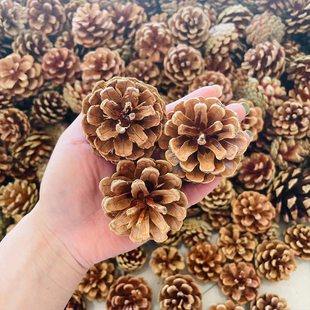 包邮100个松果装饰手工制作松果松球圣诞松果干花拍摄道具diy材料