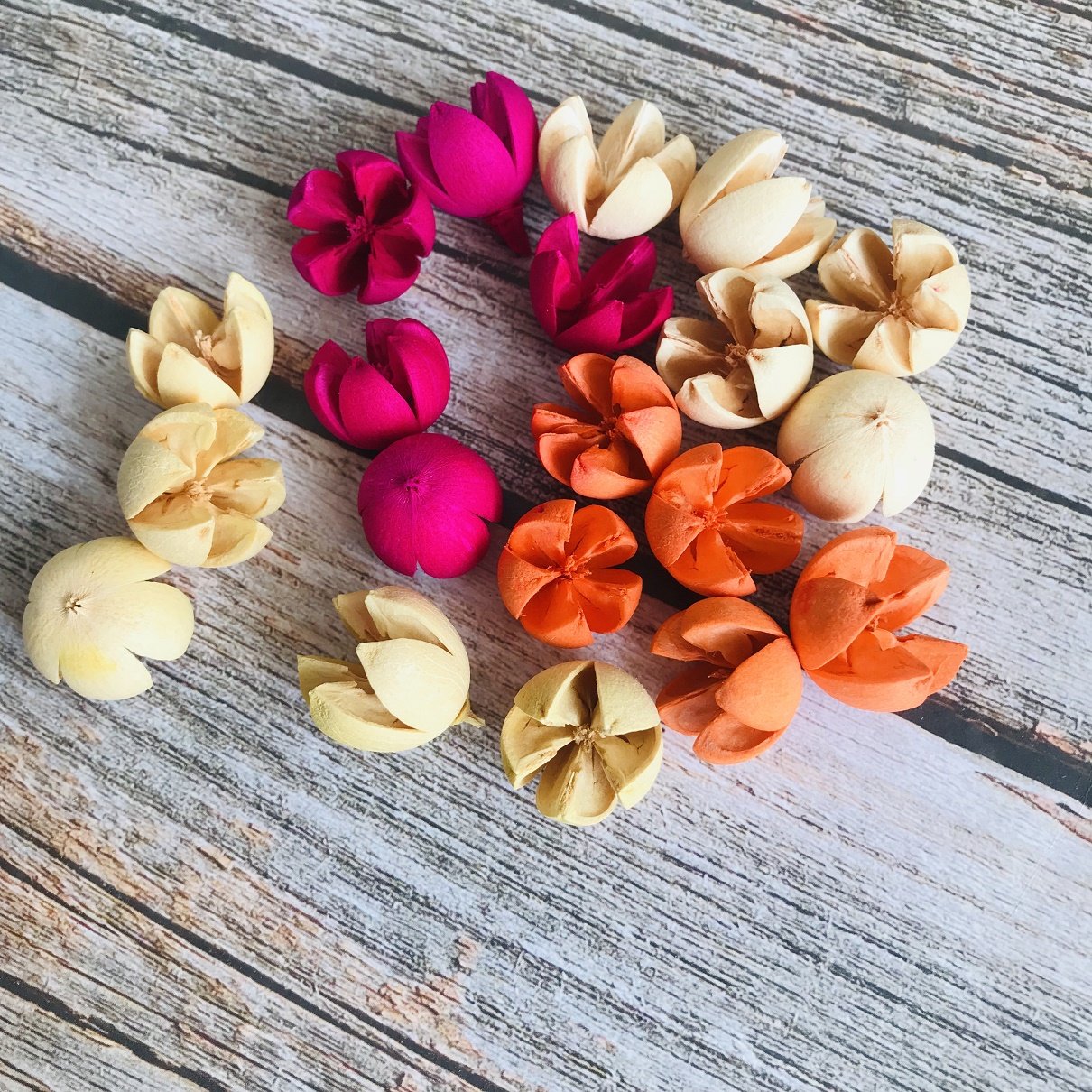 道具开口笑干花果壳十字果装饰