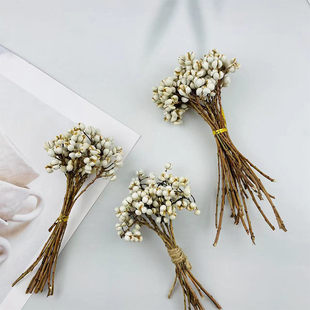 小白果乌桕果干花装饰北欧风花束圣诞干花DIY香薰蜡烛干花配材