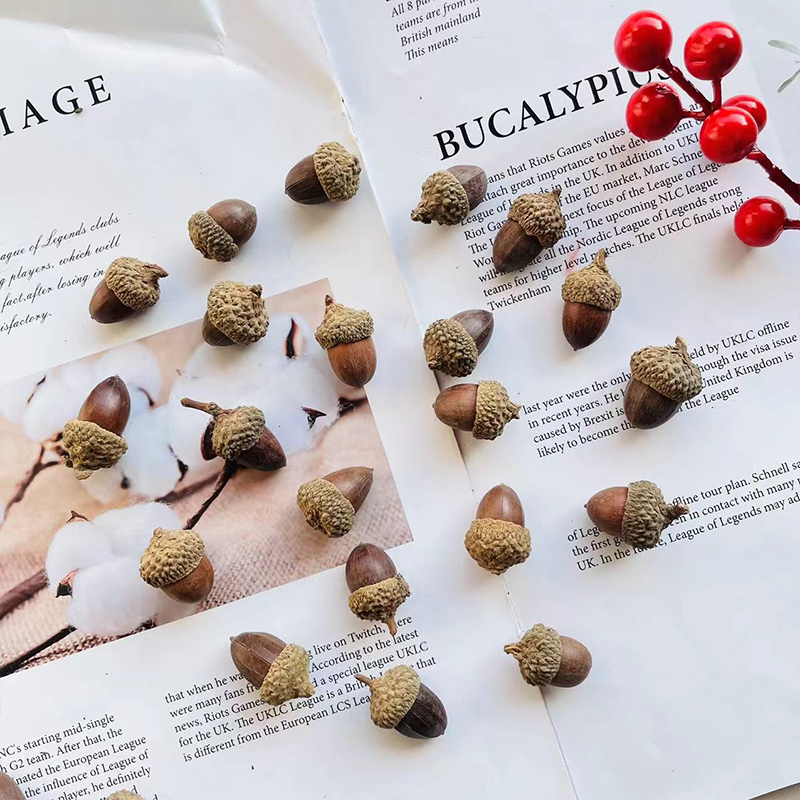 橡果diy森系天然带帽橡子果实手工干花挂件装饰小摆件拍摄道具