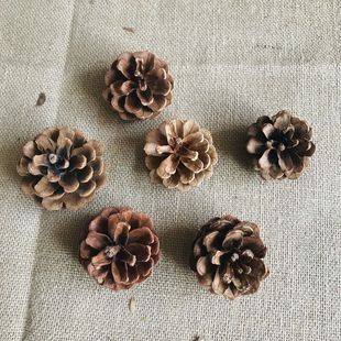 饰手工创意饰品松果画DiY松果塔松 30个松果美人松果幼儿园装 包邮