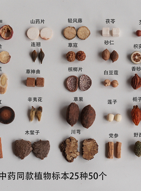 非遗中药果实香氛画材料包