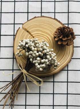 天然薏米乌桕ins家居花材小白果