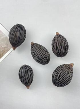 【千丝果】狐尾椰天然植物果实手工DIY材料幼儿环创教育插花花束