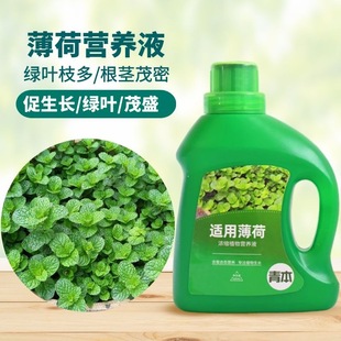 Mint nutrient solution, fertilizer specific fertilizer, ind