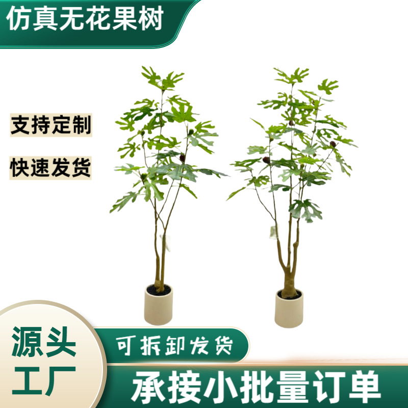 Simulated fig tree, green plants, indoor potted plants, liv