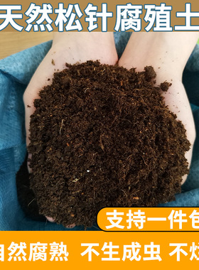 Mature pine needles, humus soil, organic wholesale, nutrien