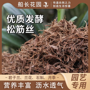 pine plant tendon special material flower Fermented