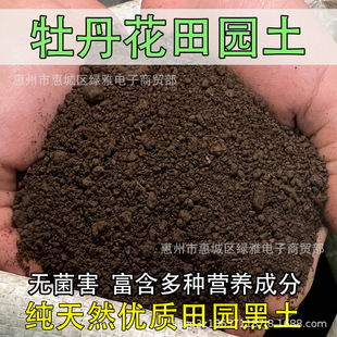 planting mud soil specialized flower Peony