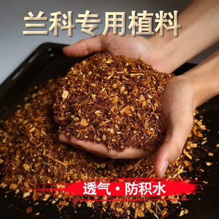 Wood Cutting Fir Dendrobi Chinese Shan Pure Hua Material