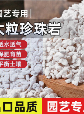 Perlite flower specific expanded horticultural flower plant