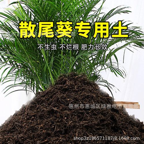 Scattered sunflower specific soil nutrient soil flower cult