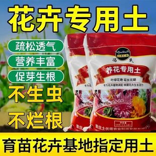 nutrient soil for cultivation flower succulen pounds