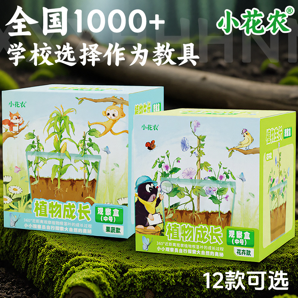 Small Flower Agricultural Plant Growth Observation Box Plan