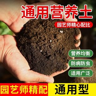 for soil flower cultivation plant Universal green nutrient