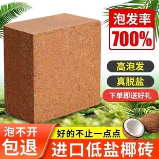 coconut bricks flower pound for large soil nutritious