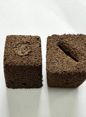 Biochar sponge soilless succulent cultivation substrate spo