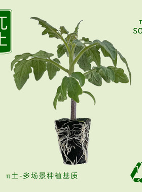 Oma π soil soilless cultivation seedling substrate nutrient