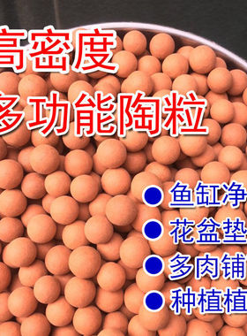 Succulent pavement stone potted, breathable, hydroponic, fl