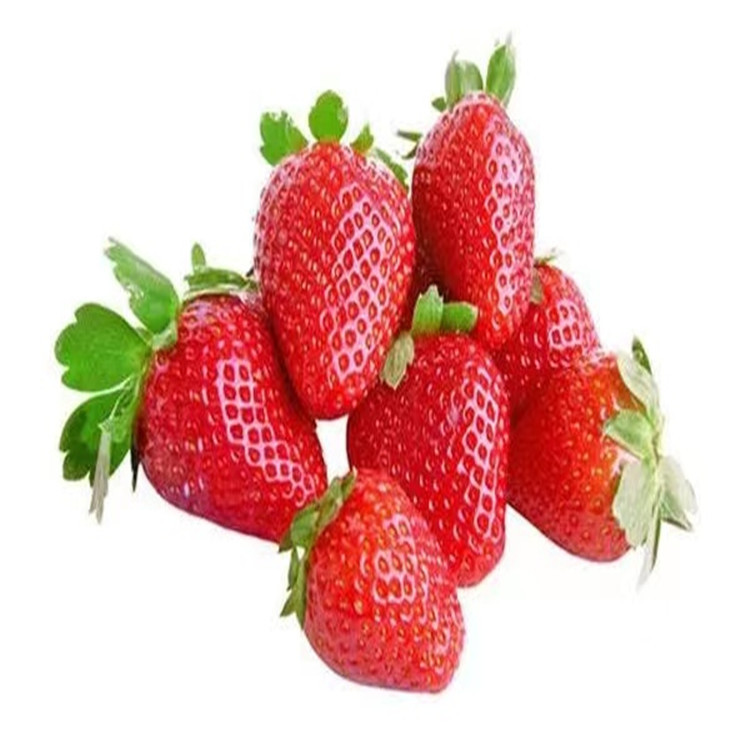 Production of Miaoxiang No. 7 virus-free strawberry seedlin